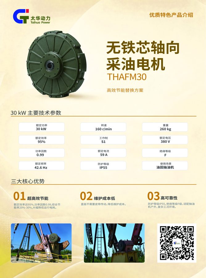 无铁芯轴向采油电机 THAFM30