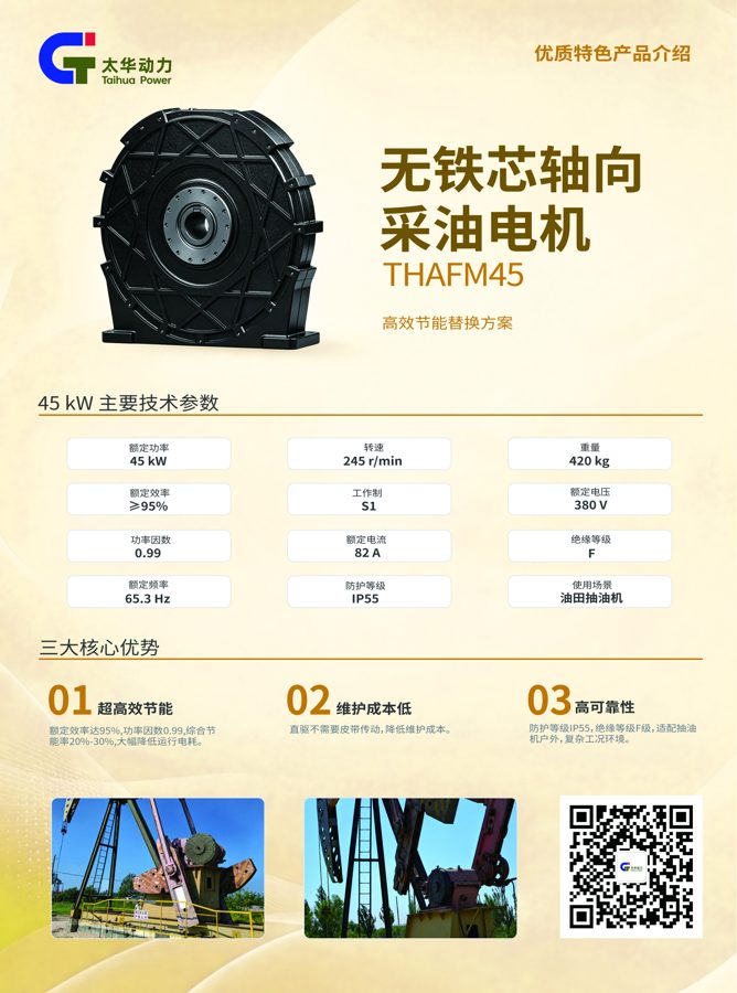无铁芯轴向采油电机 THAFM45
