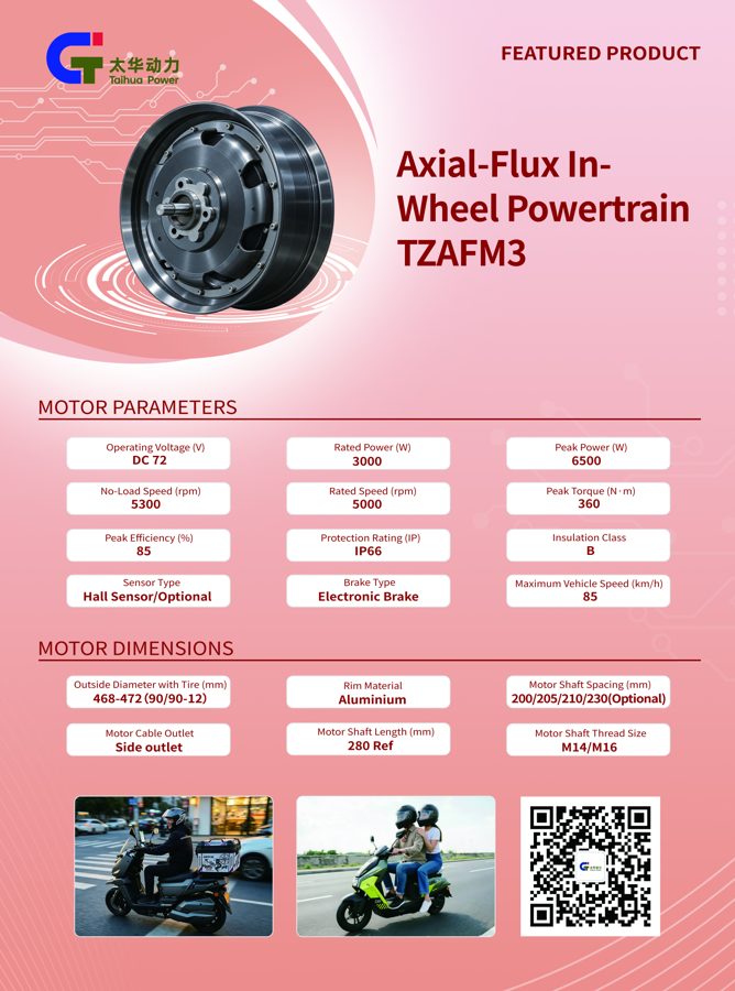 Axial Hub-Drive Powertrain TZAFM3